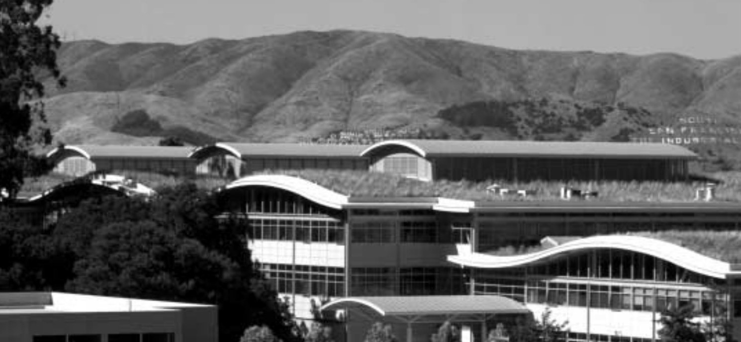 The planted, rolling roof of the Gap, Inc. offices at 901 Cherry, San Bruno, with hills behind