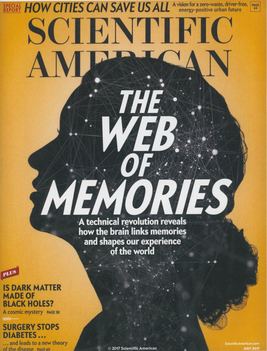 Cover of Scientific American, July 2017
