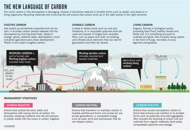 The New Language of Carbon diagram showing fugitive, durable and living carbon and three management strategies