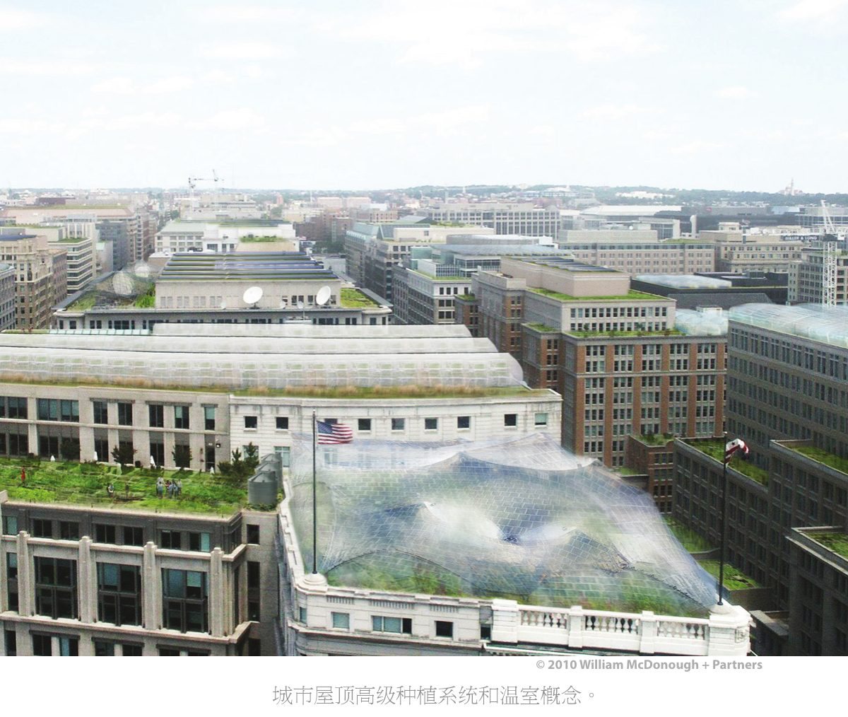 Greenhouses on urban rooftops in Washington, D.C.