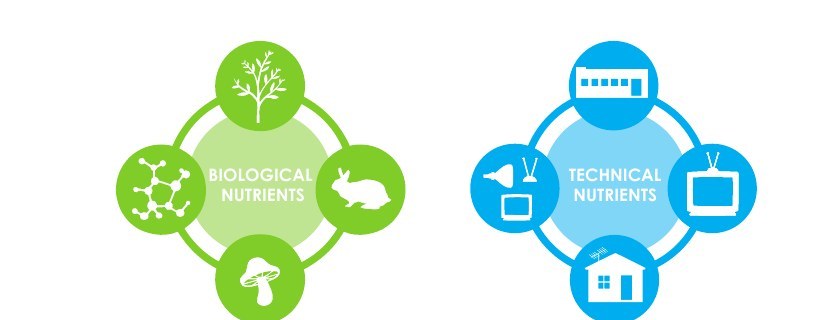 Biological and technical nutrient cycles
