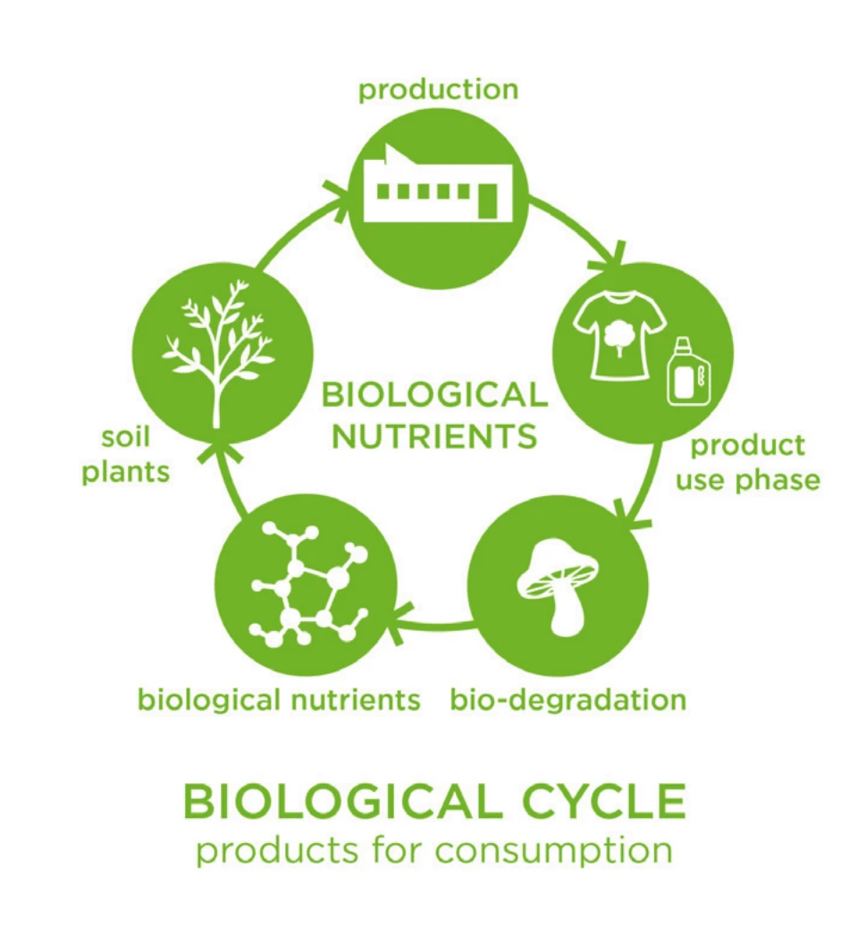 Biological cycle: products for consumption